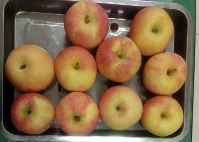 欣欣爸爸教师节来瑞曼看老师