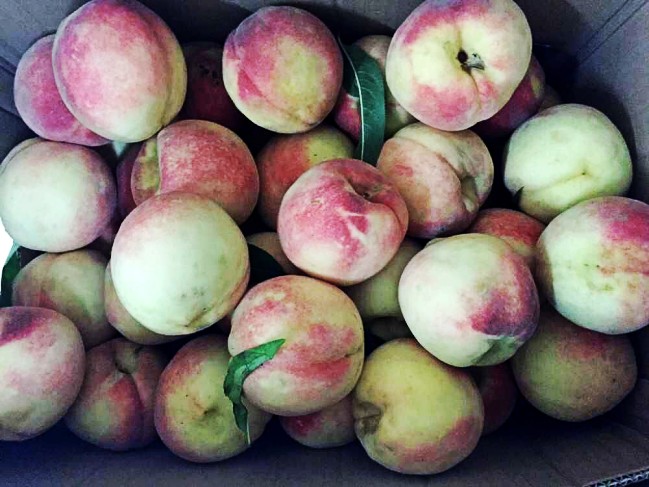 爱心家长为瑞曼老师送来了老师节礼物