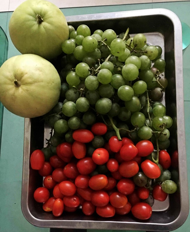 家心家长为瑞曼师生送水果大餐